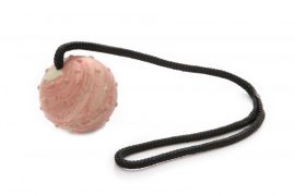 Dogtech 7 cm Bigball with 50 cm rope with handle
