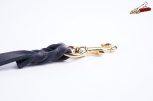 Leather Leashes