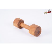 300 GR Dumbbell