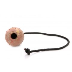 Dogtech 7 cm Ball with 50 cm rope HOLLOW