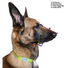 Dogtech Leather muzzle Boxer 1