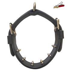 Leather Pinch Collar - 6 spikes