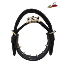 Leather Pinch Collar with handle - 6 spikes
