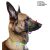 Dogtech Metal Muzzle Malinois 1