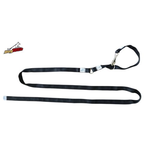 2 in 1 leash - Black 