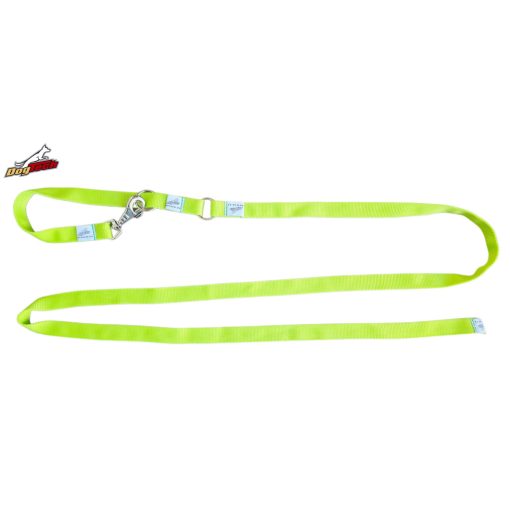 2 in 1 leash - Green