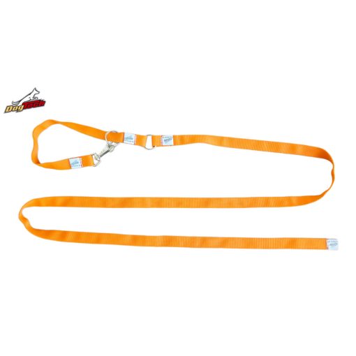 2 in 1 leash - Orange