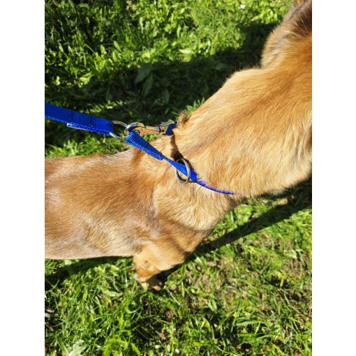 2 in 1 leash - Orange