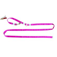 Two-function leash - Pink