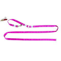 Two-function leash - Pink