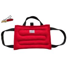 MINI send-away pillow