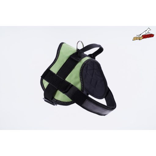 Apple green pulling harness