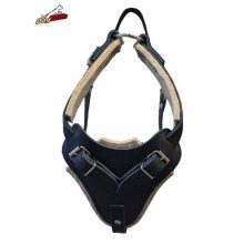 Training harness leather