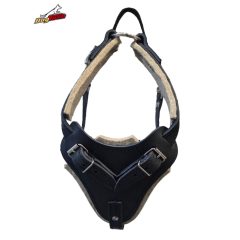 Training harness leather