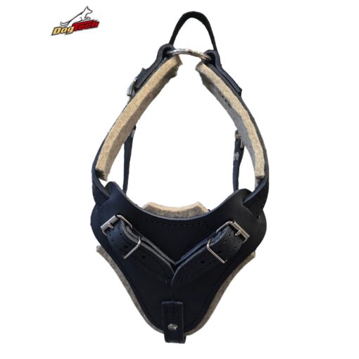 Training harness leather