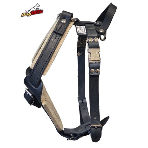 Training harness leather