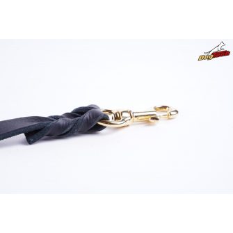 Leather Leashes