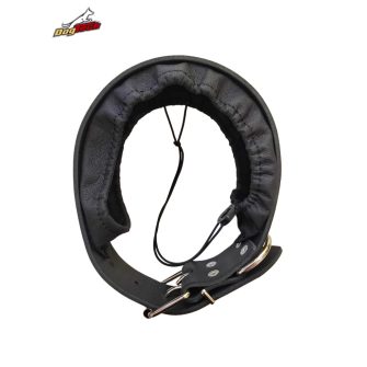 Leather E-collar covers