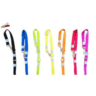 2 in 1 leashes